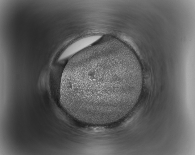 X0000088230395200705292138