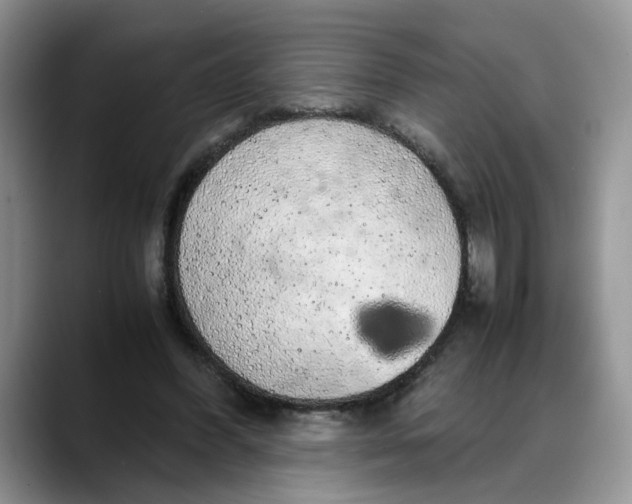 X0000088230396200705292138