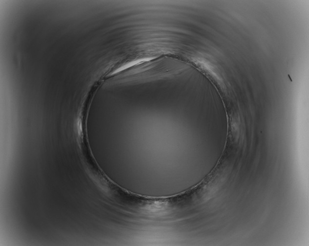 X0000088230398200705292138
