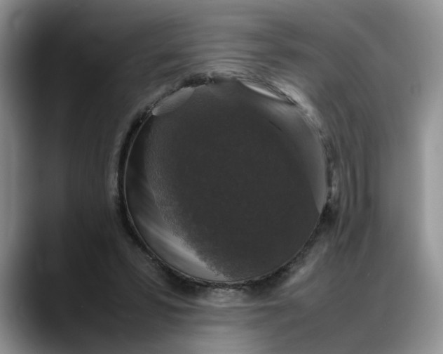 X0000088230399200705292138
