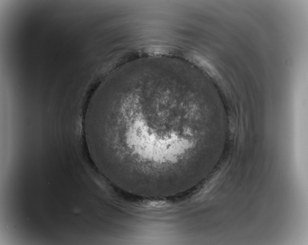 X0000088230401200705292138