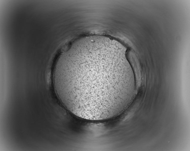 X0000088230403200705292138