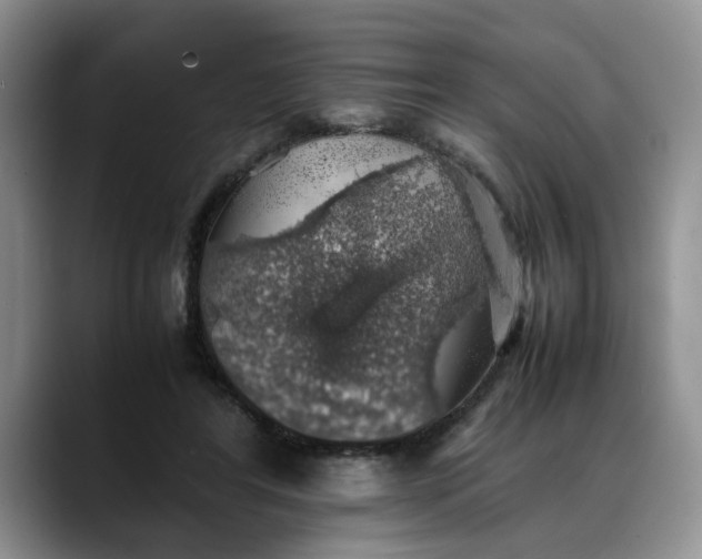 X0000088230404200705292138