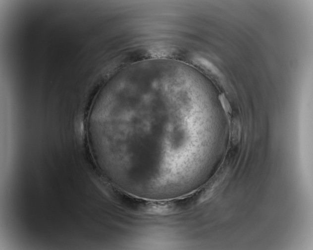 X0000088230405200705292138
