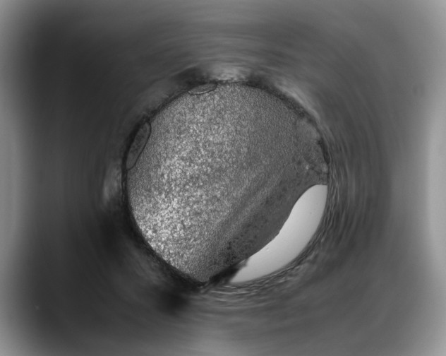 X0000088230407200705292138