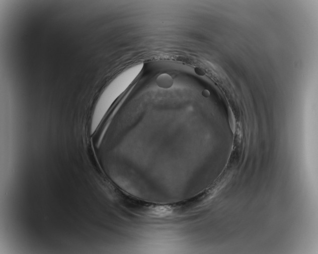 X0000088230409200705292138