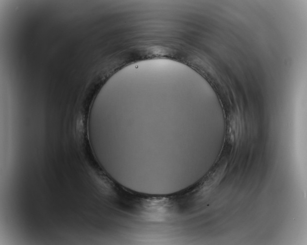 X0000088230410200705292138