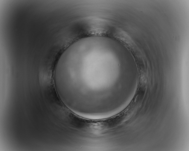 X0000088230411200705292138