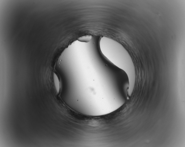 X0000088230412200705292138