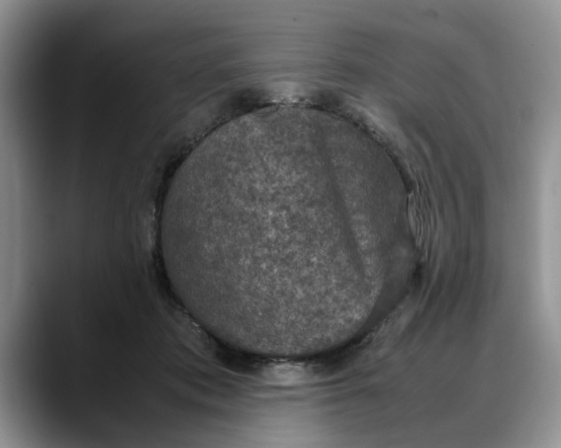 X0000088230413200705292138