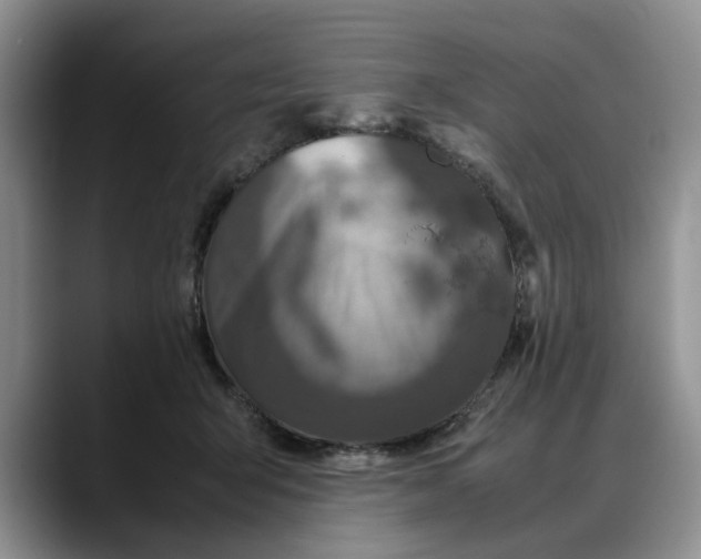 X0000088230415200705292138