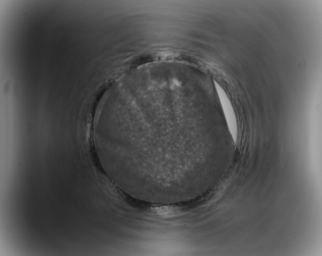 X0000088230417200705292138