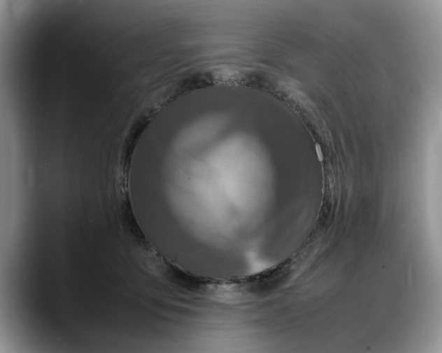 X0000088230419200705292138