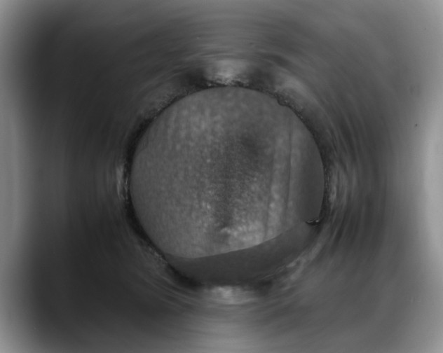 X0000088230420200705292138