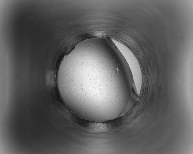 X0000088230421200705292138