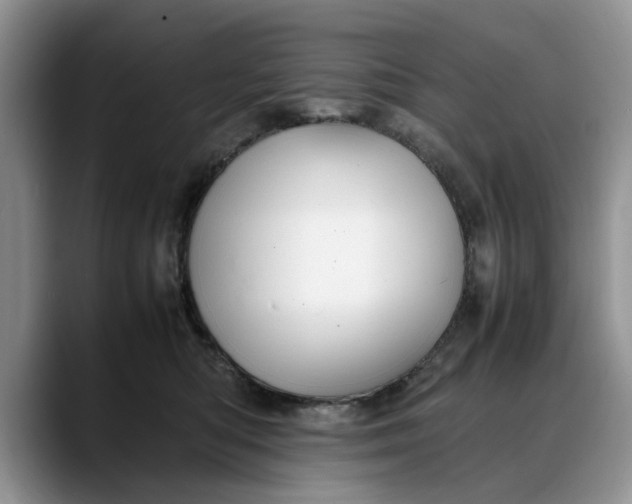 X0000088230422200705292138