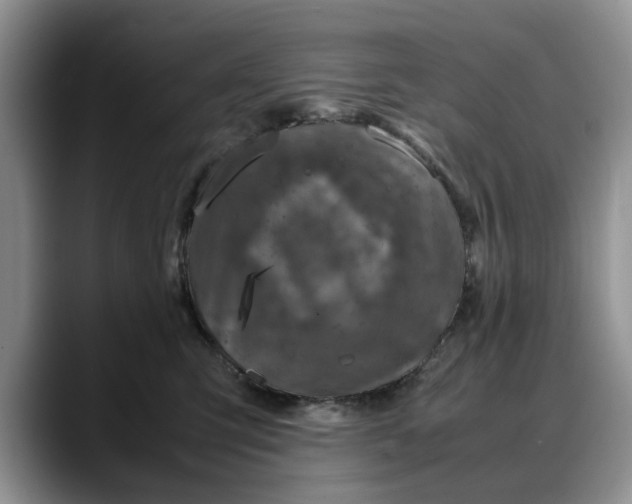 X0000088230423200705292138
