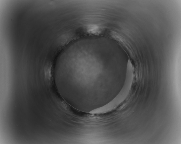 X0000088230424200705292138
