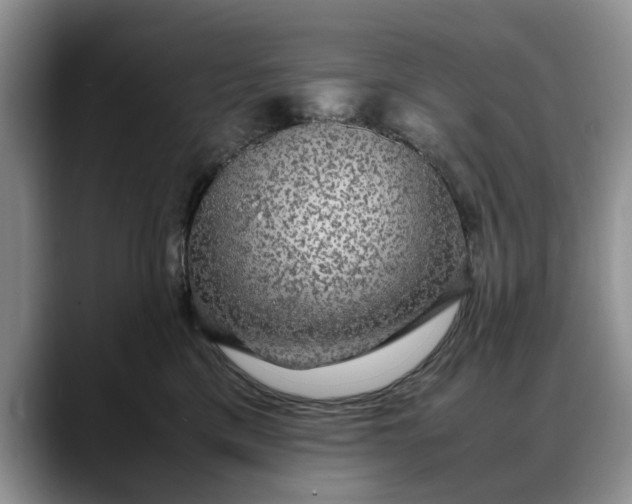 X0000088230425200705292138