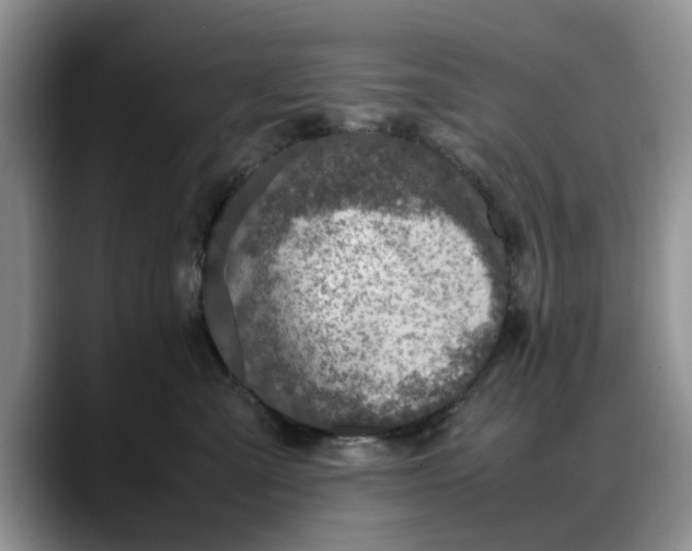 X0000088230427200705292137