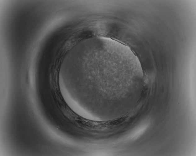 X0000088230431200705292137