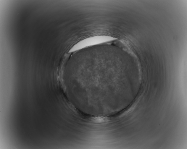 X0000088230432200705292137