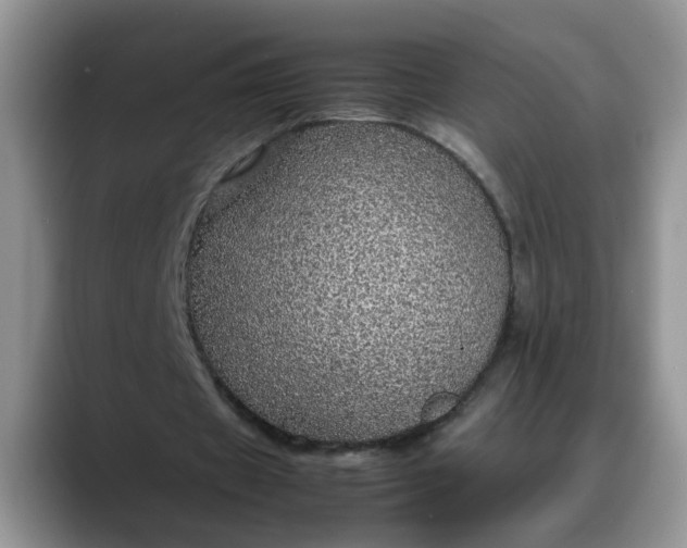 X0000088230433200705292137