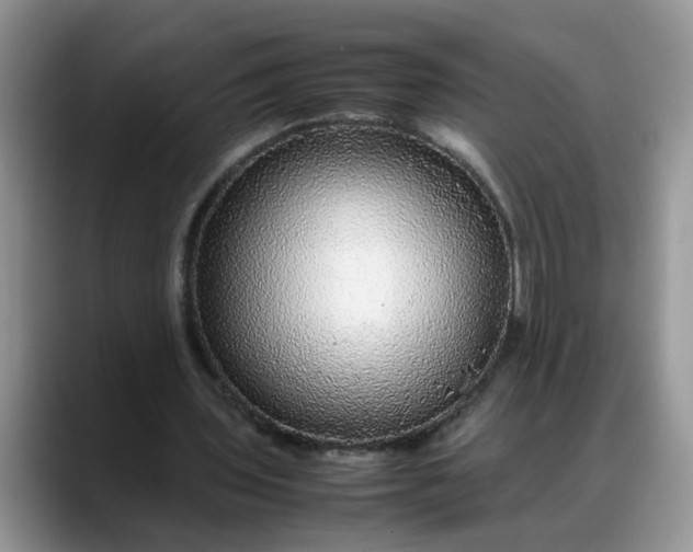 X0000088230435200705292137
