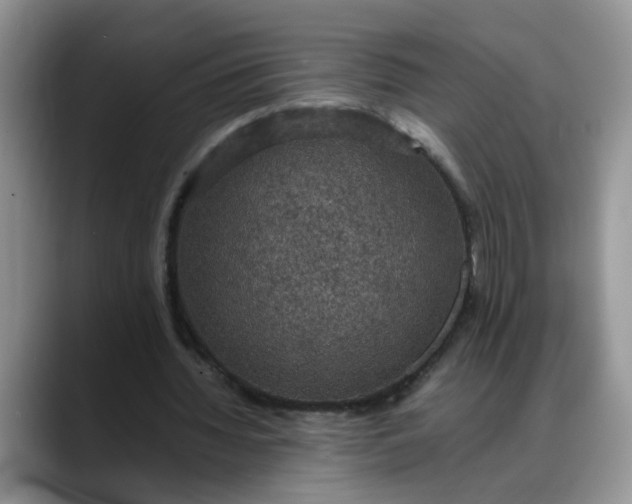 X0000088230436200705292137