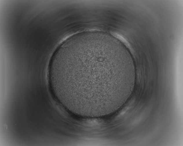 X0000088230439200705292137