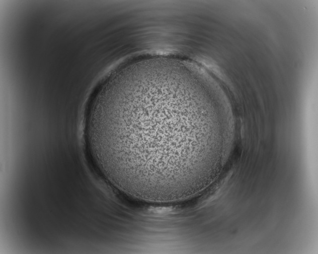X0000088230440200705292137