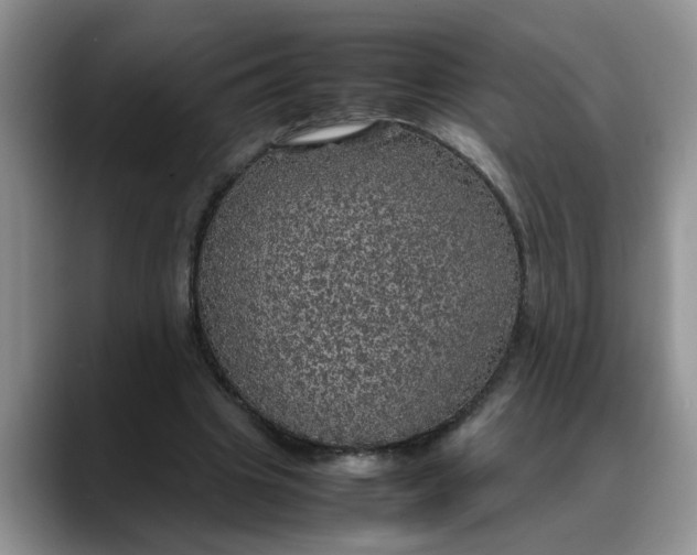 X0000088230441200705292137