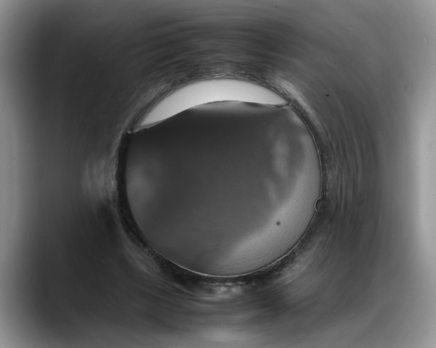 X0000088230443200705292137