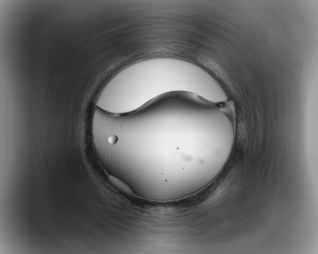 X0000088230444200705292137