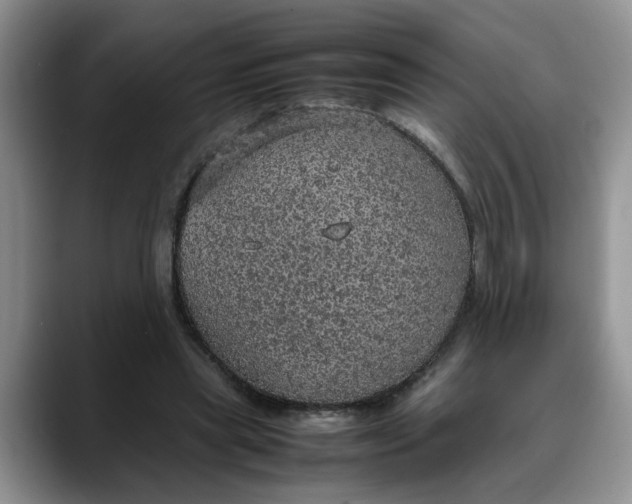 X0000088230445200705292137