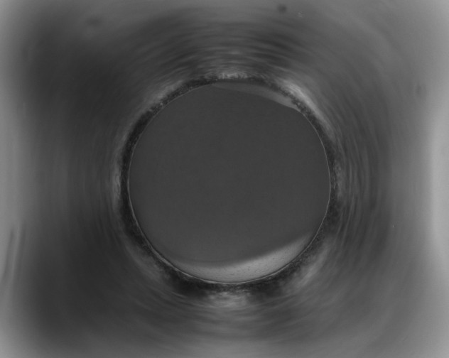 X0000088230447200705292137