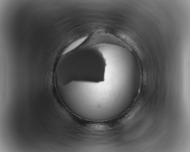 X0000088230449200705292137