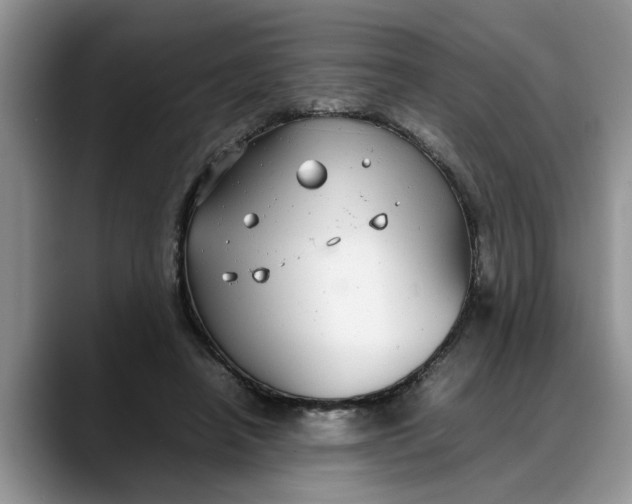 X0000088230450200705292137