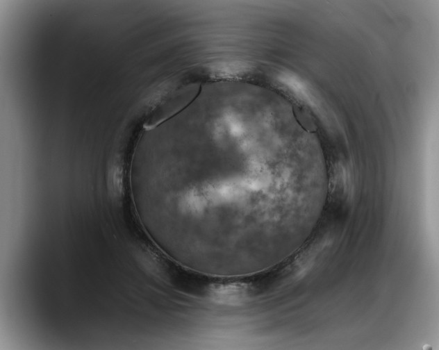 X0000088230452200705292137