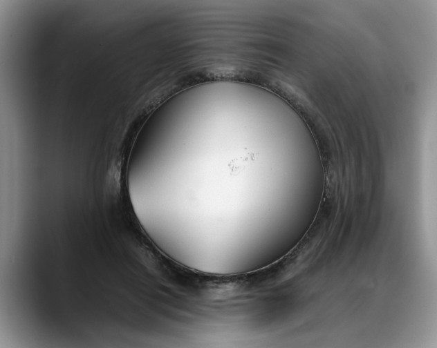 X0000088230454200705292137