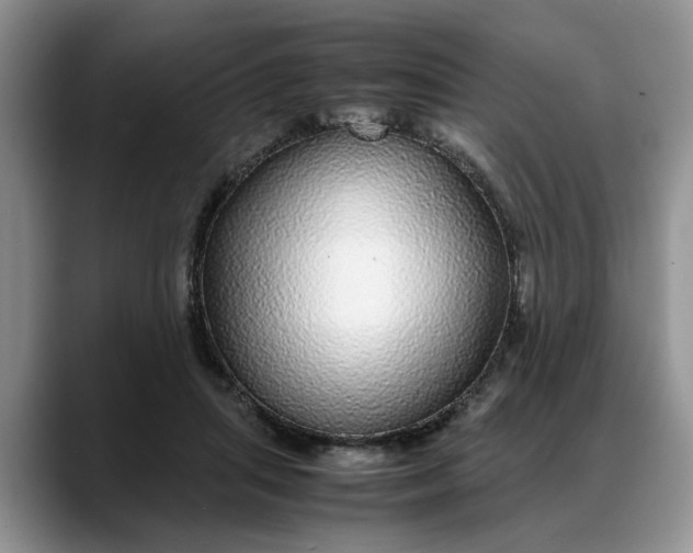 X0000088230455200705292137