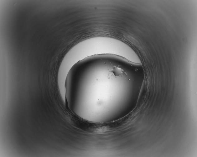 X0000088230456200705292137