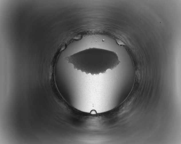 X0000088230458200705292137
