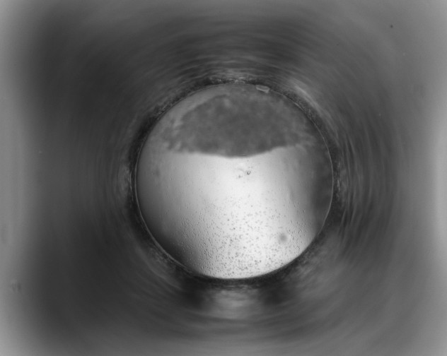 X0000088230459200705292137