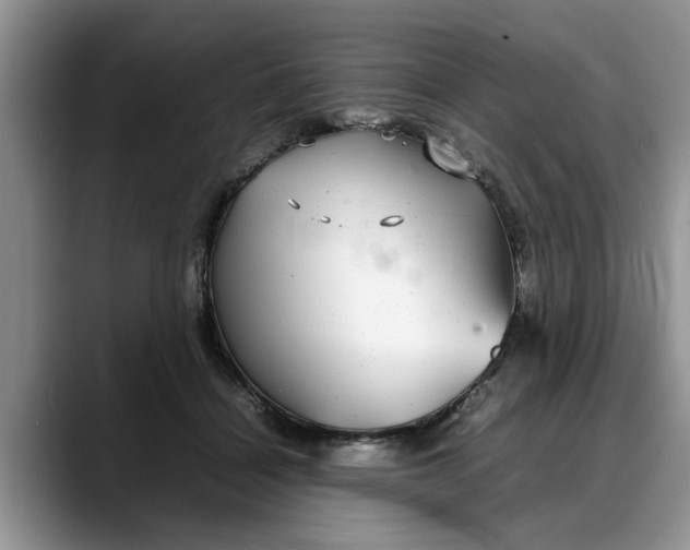 X0000088230460200705292137