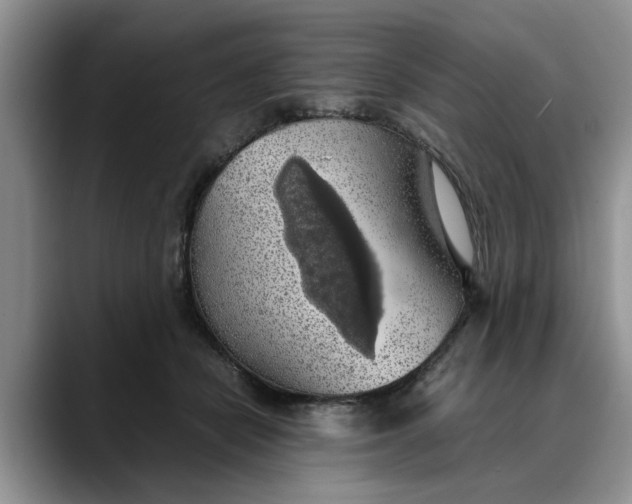 X0000088230462200705292137