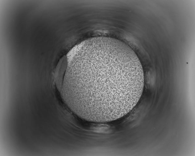 X0000088230463200705292137