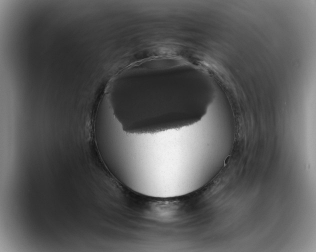 X0000088230465200705292137