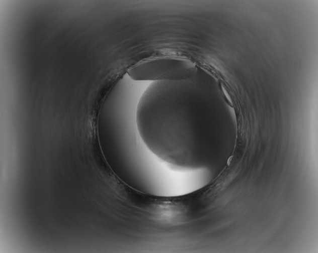 X0000088230467200705292137