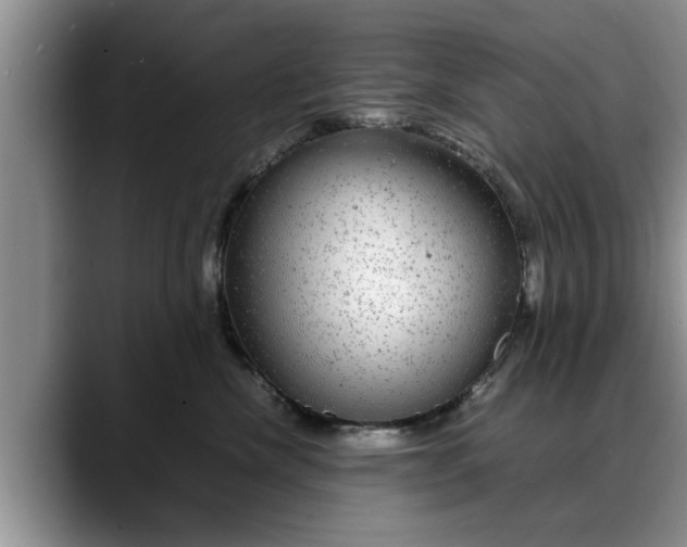 X0000088230476200705292137